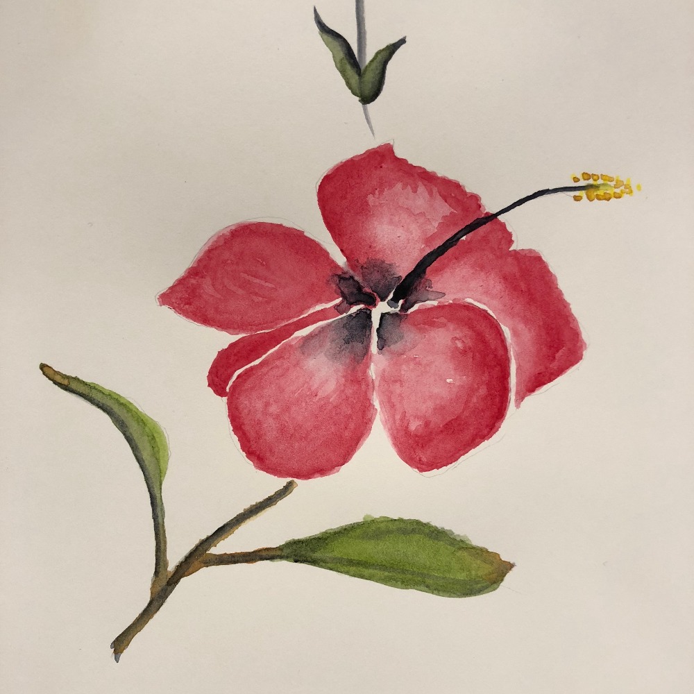 Meet your Posher, Whitney